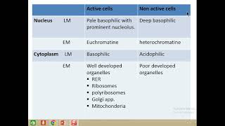 C T fibrocytes 2023 [upl. by Kirsch600]