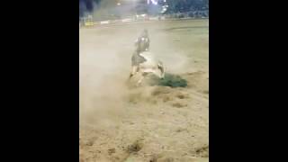 Dakota Louis Bull Riding Highlights [upl. by Quent]