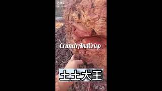 types of clay crunchasmr shorts shortvideo youtubeshorts [upl. by Lyn300]