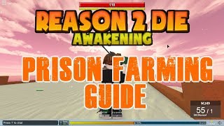 R2DA Prison farming guide [upl. by Cordle402]