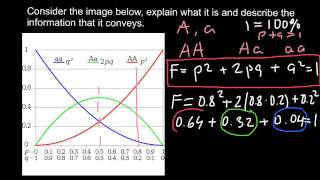 How to understand HardyWeinberg problems [upl. by Ruthanne]