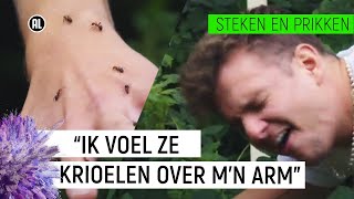 RODE BOSMIER BIJT JURRE GELUK  Steken en Prikken 3  NPO Zapp [upl. by Pike]