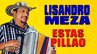 Lisandro Meza  Estas Pillao  Café Records [upl. by Anoirtac]