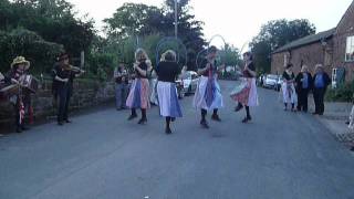 Mockbeggar Morris Dance MayApple [upl. by Nay375]