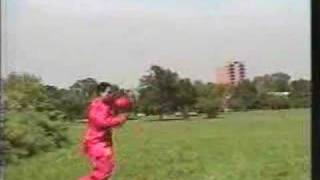 Xing Yi Quan 6 Harmony Short Stick  Li Tai Liang [upl. by Ttocs]