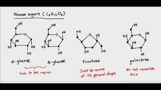 23 Introduction to carbohydrates amp monosaccharides Cambridge International AS amp A Level Biology [upl. by Estren]