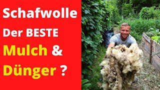 Schafwolle als Mulch amp Dünger im Garten 🐑  Der ultimative Test 👈 [upl. by Collbaith]