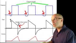 Pressure Support Ventilation Curves [upl. by Bathsheb103]