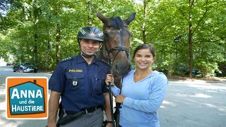 Ein Tag mit Polizeipferden  Information für Kinder  Anna und die Haustiere  Spezial [upl. by Suoirad285]