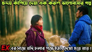 যে ভালোবাসার গল্পে কাঁদবেন আপনিও  Us and Them 2018 Chinese Love Story Movie Explain in Bangla [upl. by Aryek706]