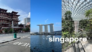 5 days in Singapore Vlog 2024 🇸🇬 what I eat in SG local foods must visit travel guide hidden gem [upl. by Innos310]