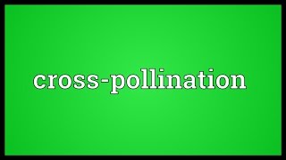 Crosspollination Meaning [upl. by Zeba]