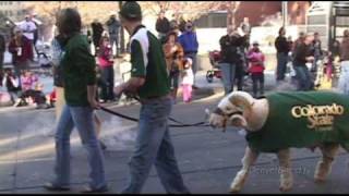 National Western Stock Show Parade 11210mp4 [upl. by Wahs]