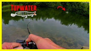 Topwater Pike on the Headbanger Spitfire Lure [upl. by Prussian]