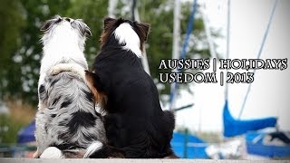 AussieHolidays on Usedom  Australian Shepherds Lissy amp Romy [upl. by Kilam]