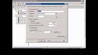 Assign an IP address to an FTP site in Windows IIS [upl. by Asilej]