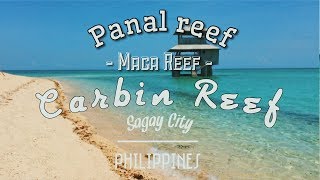 Carbin Reef  Panal Reef  Maca Reef  Sagay City Negros Occidental [upl. by Anerda]