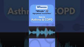 Different Lung Sounds and their disease Follow me for med tips to stay safe [upl. by Woodruff]