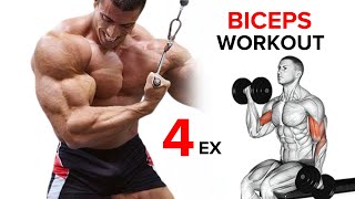 Best Biceps Exercises  Short Head  Long Head  Brachialis [upl. by Ayotahc]