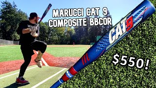 Hitting with the MARUCCI CAT 9 COMPOSITE BBCOR  2022 Baseball Bat Review [upl. by Zzaj]