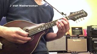 ＜マンドリン＞ 🇮🇹 Lu Cardillo 〜 🇮🇪 Irish Washerwoman  Mandolin Cover [upl. by Onaled]