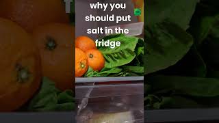 Why you should put salt in the fridge [upl. by Ahsia]