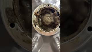 CLEAN YOUR WASHER OMG 😭😭😭  equestrain trending cleaning psa shorts important goviral [upl. by Ford]