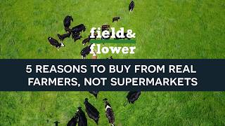 5 reasons to buy from real farmers not supermarkets  fieldampflower [upl. by Jaddo]