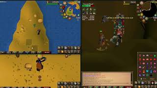 3 Accounts Strength Training Simultaneously  1 NMZ  2 SANDCRABS  XP RATE PER H  OSRS [upl. by Enairb]