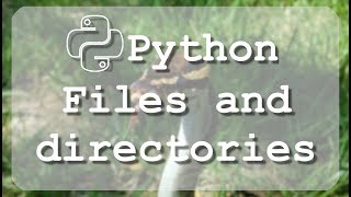 16 Learn to use Python files and directories related methods [upl. by Fernandes]