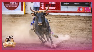 EnVivo Esto si es tradición Toros🐂 en Zapote Con ¡OPA Recordá sintonizarnos por ¡OPA Canal38📺 [upl. by Ahsatel558]