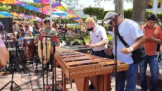 PALILLOS CHINOS MARIMBA BERRIOZÁBAL [upl. by Hurty]