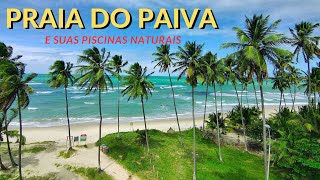 PRAIA DO PAIVA E SUAS PISCINAS NATURAIS EM PERNAMBUCO [upl. by Arikehs]