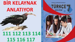 7SINIF TÜRKÇE DERS KİTABI BİR KELAYNAK ANLATIYOR SAYFA 111 112 113 114 115 116 117 [upl. by Chaddy]