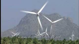 Windmills in Kerala [upl. by Reimer]