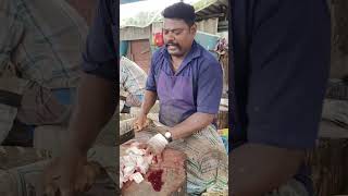 Fish cutting video kasimedu Mr Selvam [upl. by Lathan]