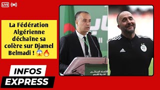 La Fédération Algérienne déchaîne sa colère sur Djamel Belmadi  😱🔥 [upl. by Sailesh]