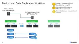 SAP HANA on NetApp storage [upl. by Yeldah886]