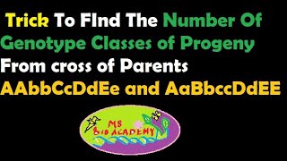 Trick To Find The Number Of Genotype Classes of Progeny From cross of Parents AAbbCcDdEe and AaBbccD [upl. by Akima81]