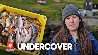 🚨🐟 UNDERCOVER On A Faroese Salmon Farm  with meganmccubbinwild [upl. by Noiz308]