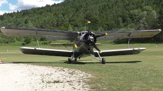 classicwingsat Antonov AN2 landing at Airfield Ferlach  SPFAH [upl. by Dulcle]