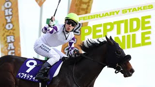 Japans First G1 Of 2024 The February Stakes フェブラリーステークス Goes To Peptide Nile ペプチドナイル [upl. by Oeht630]