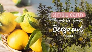 Bergamot Straight From The First Sicilian Plantation Of Its Kind [upl. by Jorgan350]