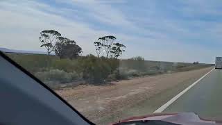 Sundrop Farm Solar Plant SA [upl. by Macri]