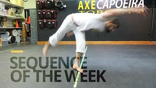 Capoeira Sequence of the Week 2 [upl. by Annoyk]