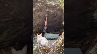 Boone bouldering Prospero Echolocation [upl. by Kentigerma]