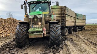 John Deere 6195R  STUCK in MUD  Rába Steiger rescue  Cukkorrépa hordás 2019 [upl. by Lika]