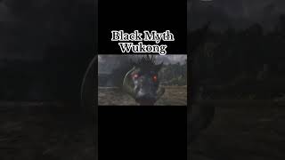 Last Time On Black Myth Wukong [upl. by Annaeerb585]