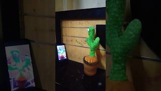 Cactus 🌵 dance funny cactus [upl. by Brew355]