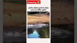 Real hero 💯youtube sortvideo sort trending viral animals animal reels [upl. by Tdnaltroc]